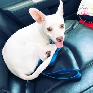 Meet your Posher, Olivia